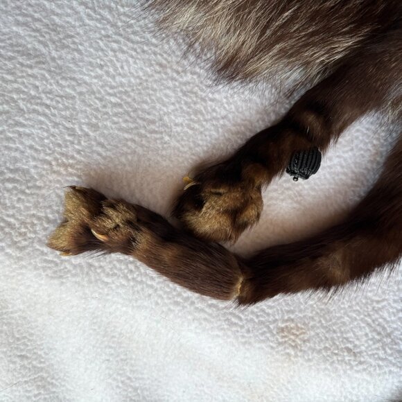 1940s 1950s Double Fox Fur Wrap Full Pelts - Picture 9 of 13